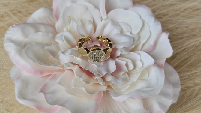 Open Circle Ring - Gold Stainless Steel with Paved Zirconia